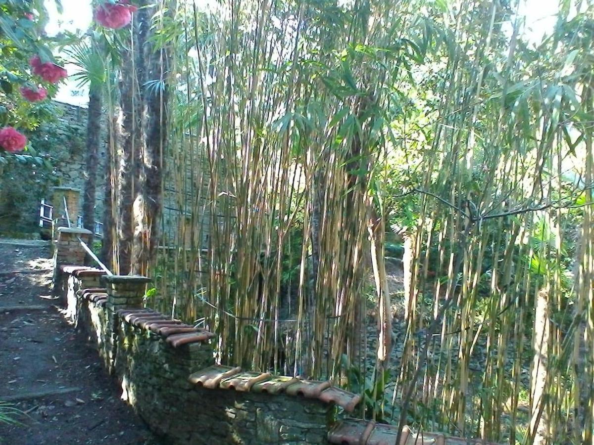 דירות Oggebio La Camelia D'Oro מראה חיצוני תמונה