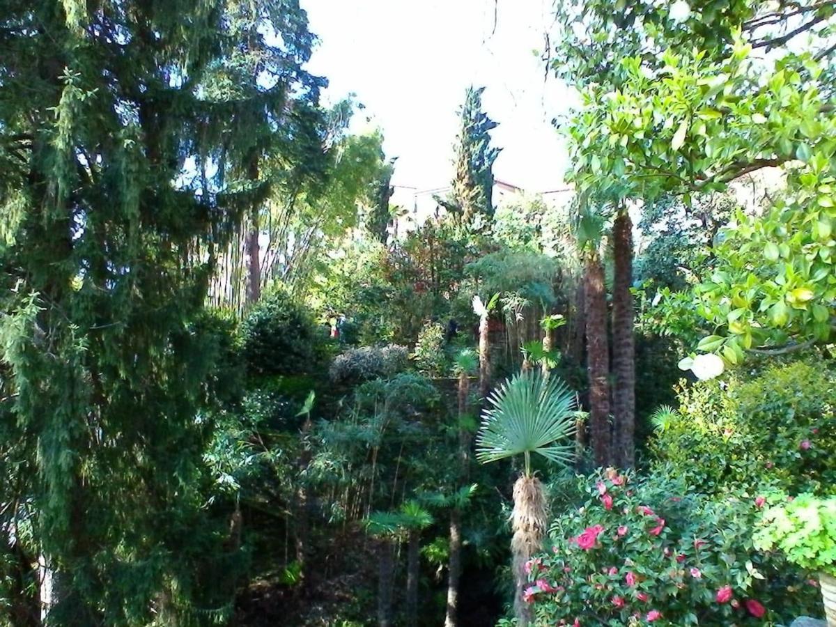 דירות Oggebio La Camelia D'Oro מראה חיצוני תמונה